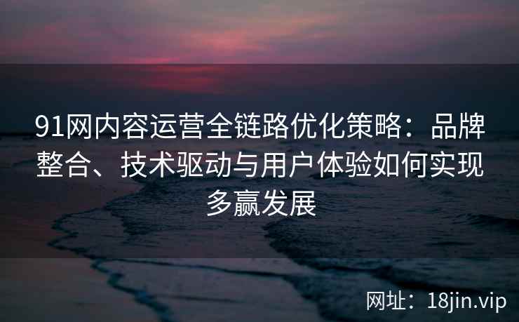 91网内容运营全链路优化策略：品牌整合、技术驱动与用户体验如何实现多赢发展