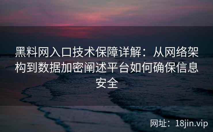 黑料网入口技术保障详解：从网络架构到数据加密阐述平台如何确保信息安全